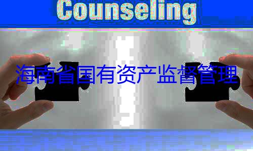 海南省国有理委员会党有福接受审查调查委副书记王资产监督管